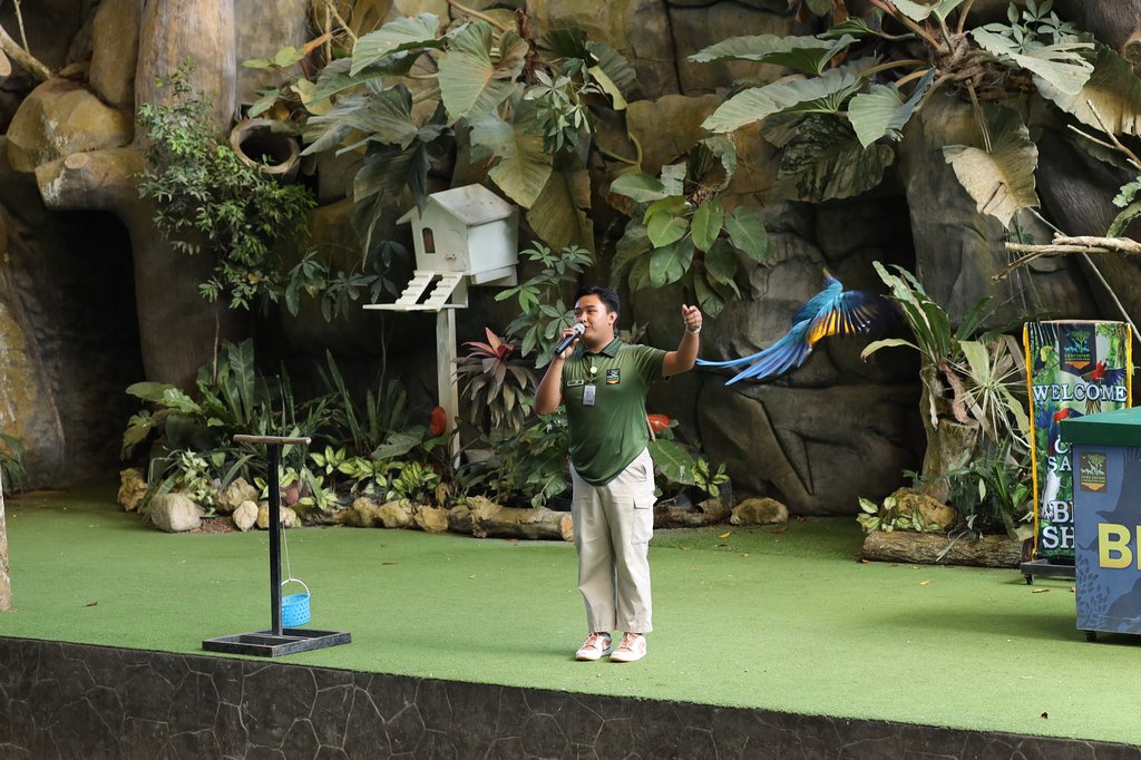 Immersive Learning Experiences of wildlife