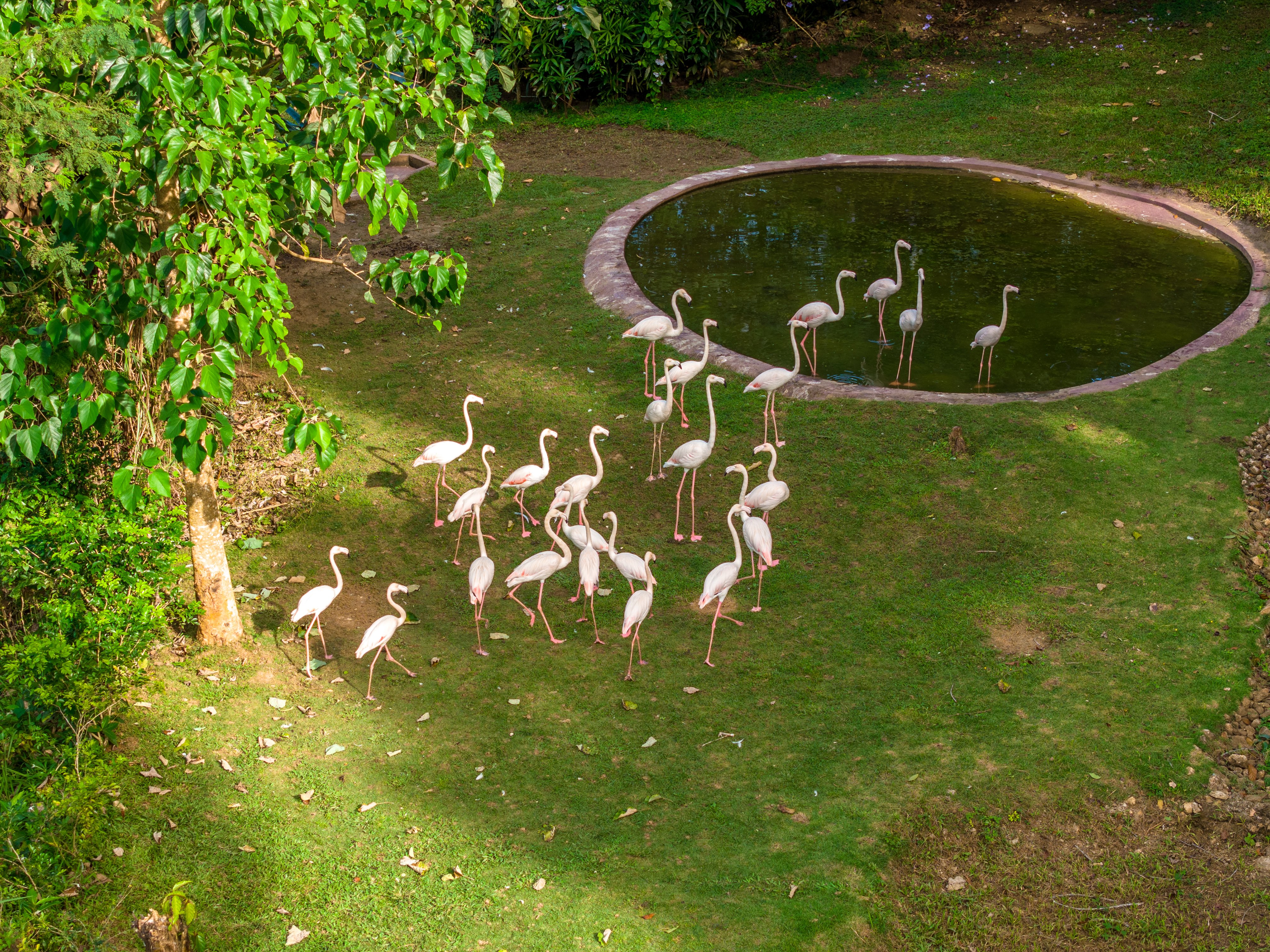 Where Conservation Meets Exploration