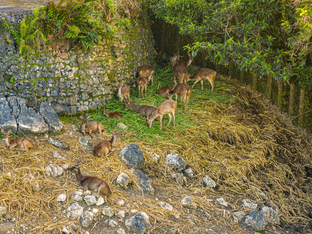 Wildlife Rehabilitation and Education 